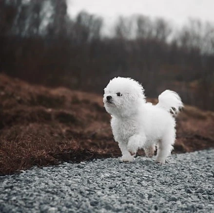 aniport - Photo by Kristin O Karlsen on Unsplash